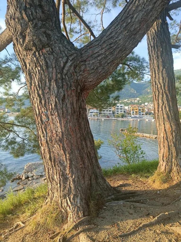 Tondo Apartment Tivat Exterior foto